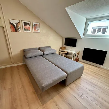 Douce Agathe - Duo-groupe, Chaleureux, Tram 200m, Centre 10min Apartment *